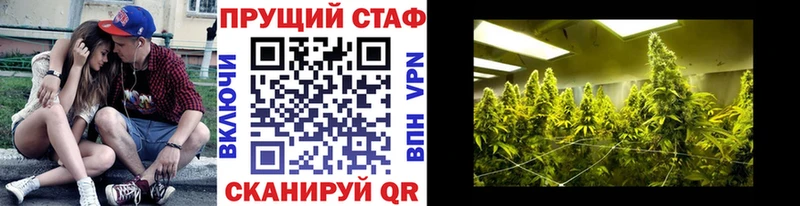 Псилоцибиновые грибы Малаховка