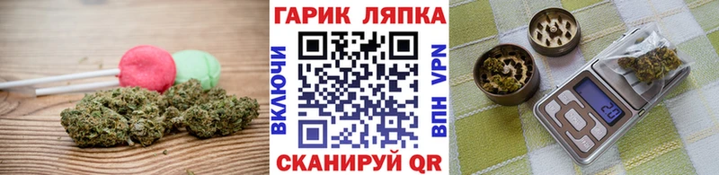Cannafood конопля  наркошоп  Малаховка 