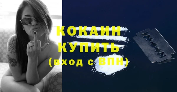 гашик Белокуриха