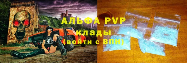 гашик Белокуриха