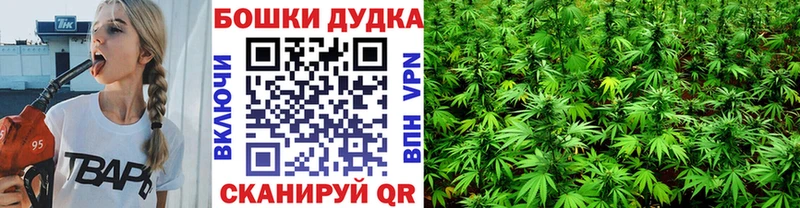 Конопля Bruce Banner  Малаховка 
